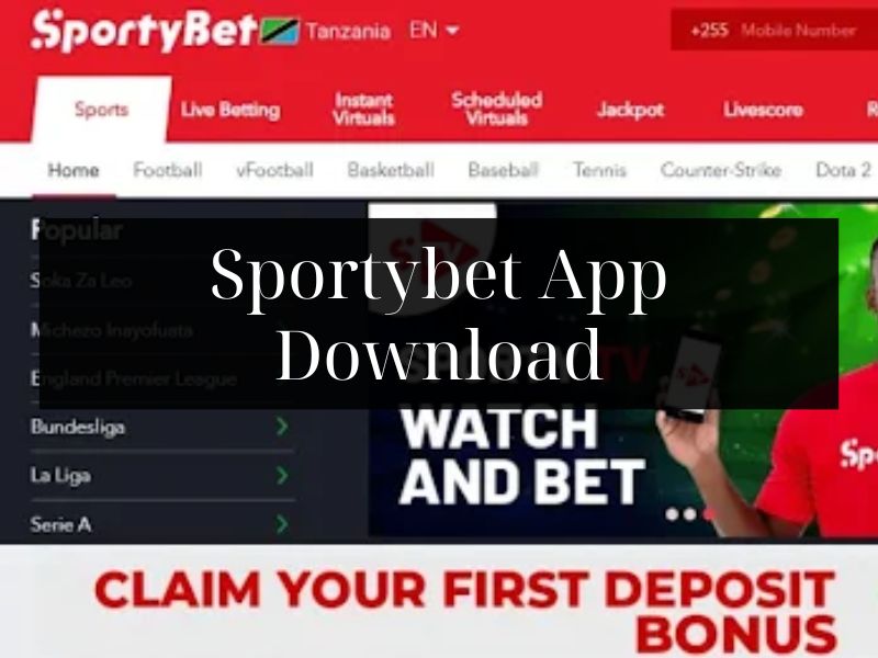 Download SportyBet App TZ 2026 - Betmentor guide
